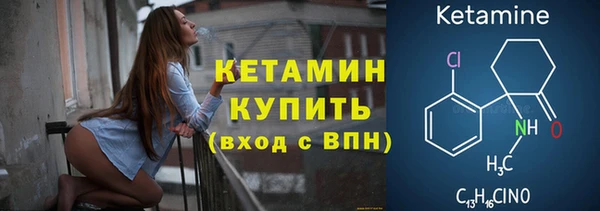 прущие грибы Бородино