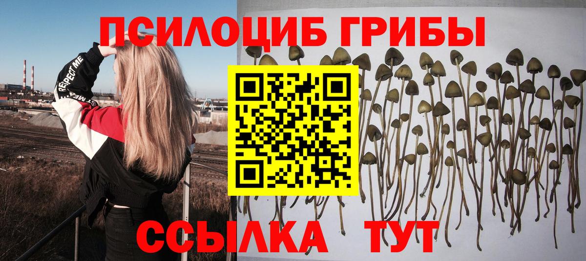 Галлюциногенные грибы мицелий  Вход с VPN  Бугульма 